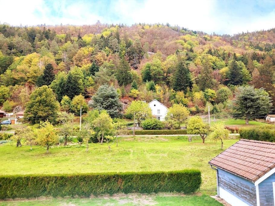 Le Vivaldi, Au Coeur Du Massif Vosgien Avec Terrain De Petanque Villa Rochesson Eksteriør bilde